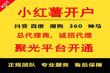 SEM广告案例：数据分析驱动营销决策
